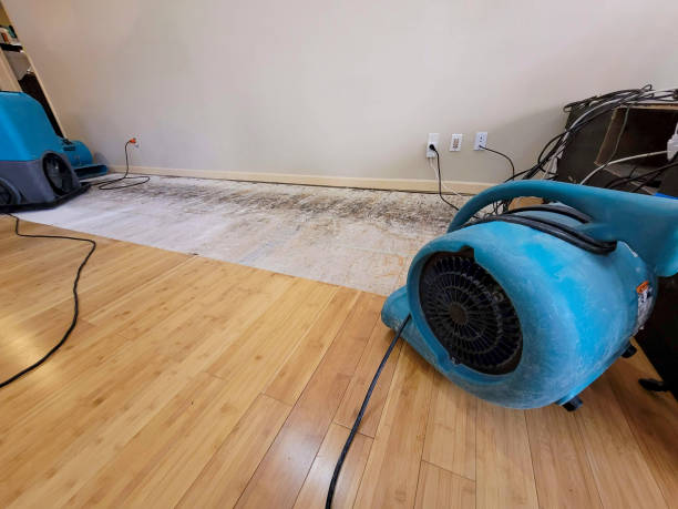 Professional Sewage Cleanup technician working in Mooresville, IN
